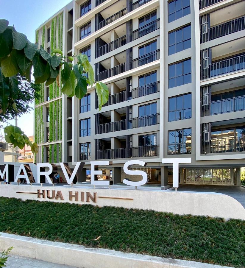 Family New At Marvest Center * הואה הין